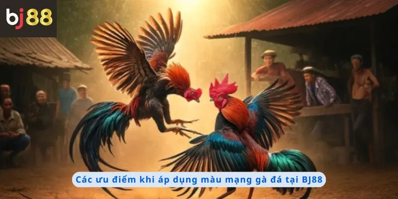 Màu Mạng Gà Đá 4 Các ưu điểm khi áp dụng