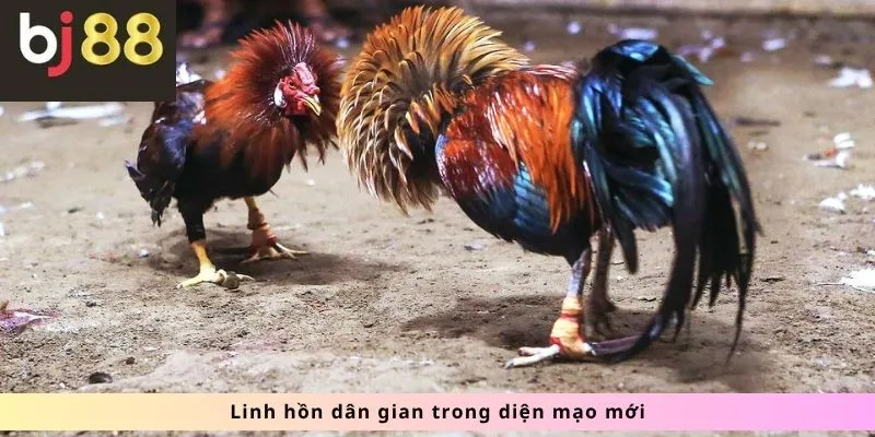 Đá Gà 1 Linh hồn diện mạo mới