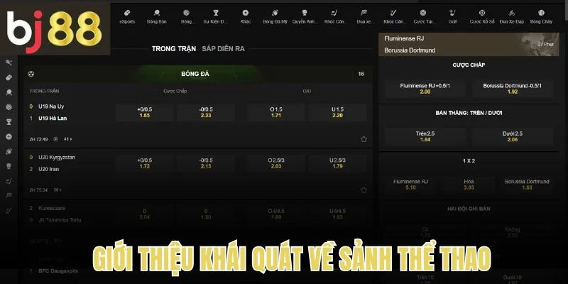 Thể Thao 1 Giới thiệu khái quát nhất về thể thao